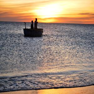 고양이 분리불안 해결법 혼자 있어도 편안해지는 팁
