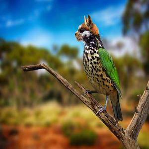 고양이 사료 바꿀 때 생기는 거부 반응 줄이는 3가지 방법 성공적인 전환을 위한 활용법