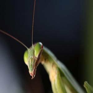 열사병 걸린 아이 5분 만에 응급처치한 방법 빠른 대처로 아이를 구하세요