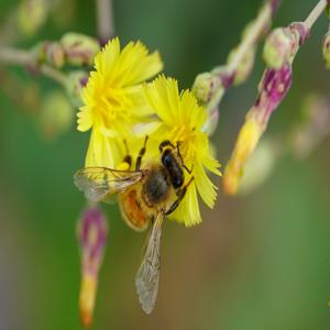 열사병 초기증상 단 3가지만 알아두세요 여름철 안전을 위한 필수 정보