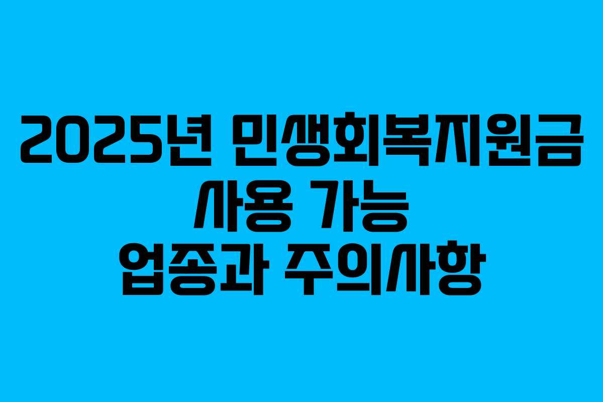 2025년 민생회복지원금 사용 가능 업종과 주의사항