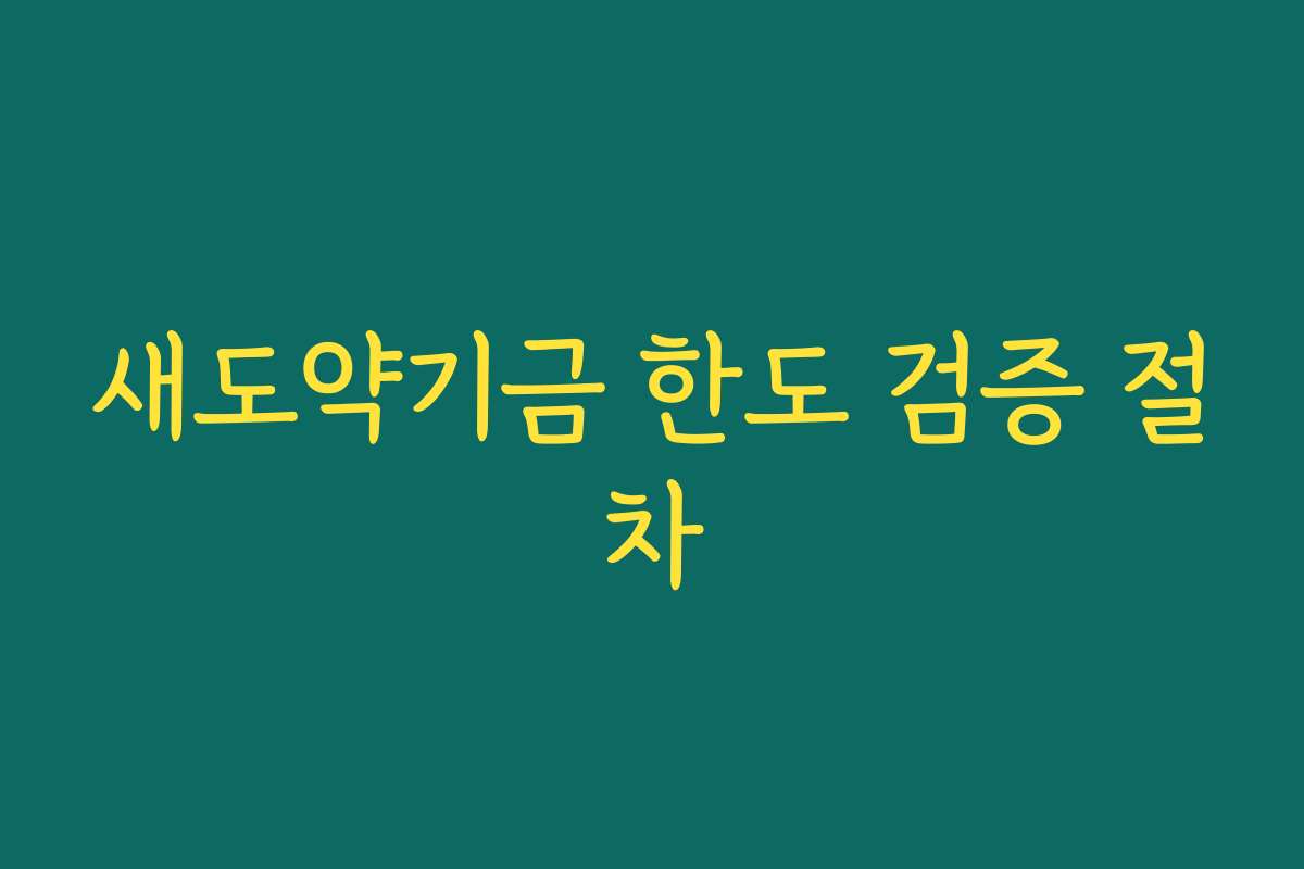 새도약기금 한도 검증 절차