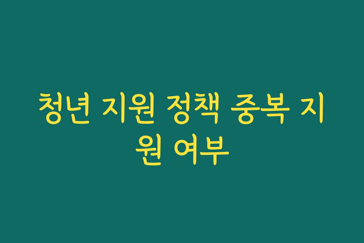청년 지원 정책 중복 지원 여부 청년 지원 정책 중복 지원 여부