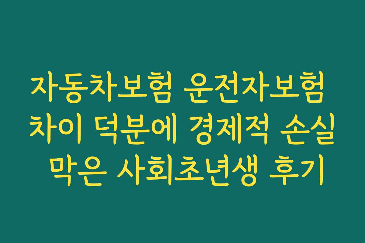자동차보험 운전자보험 차이 덕분에 경제적 손실 막은 사회초년생 후기
