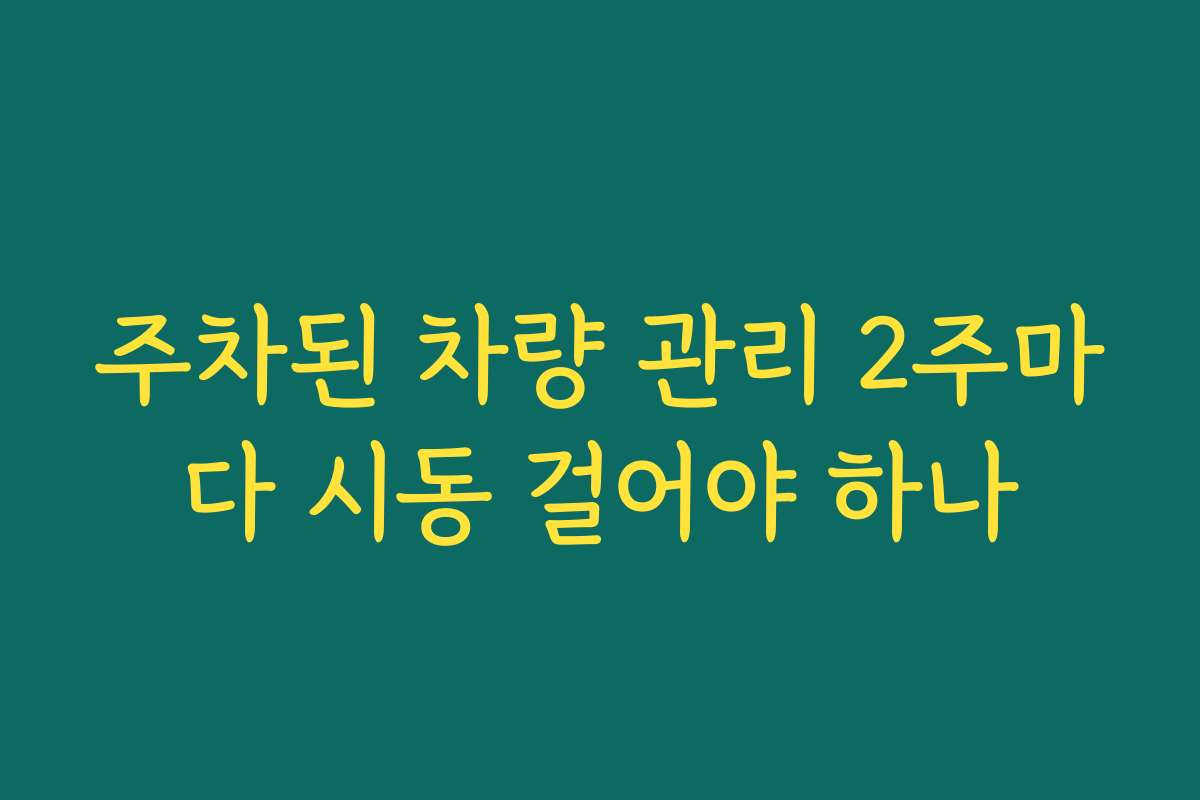주차된 차량 관리 2주마다 시동 걸어야 하나