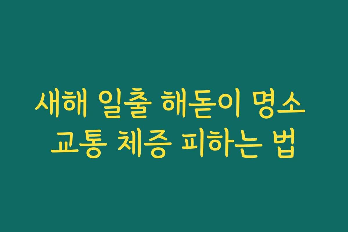 새해 일출 해돋이 명소 교통 체증 피하는 법