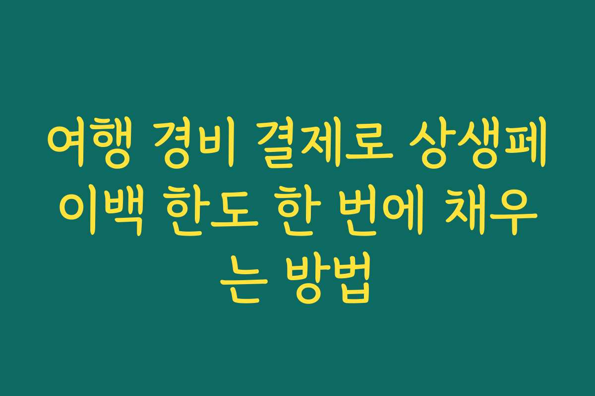 여행 경비 결제로 상생페이백 한도 한 번에 채우는 방법