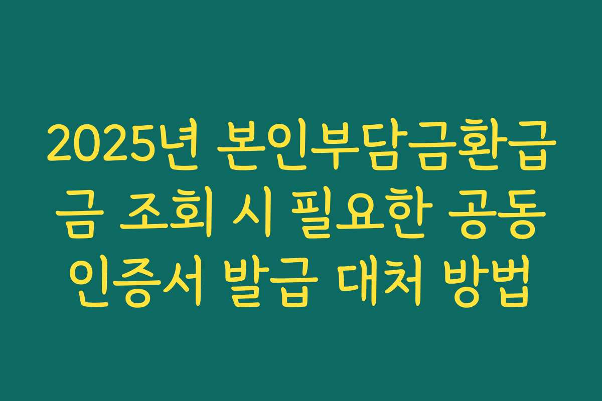 2025년 본인부담금환급금 조회 시 필요한 공동인증서 발급 대처 방법