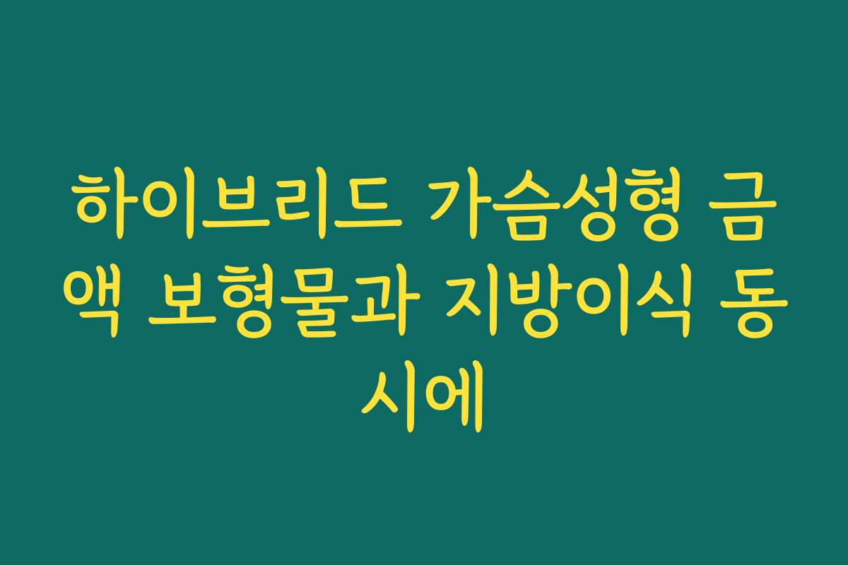 하이브리드 가슴성형 금액 보형물과 지방이식 동시에