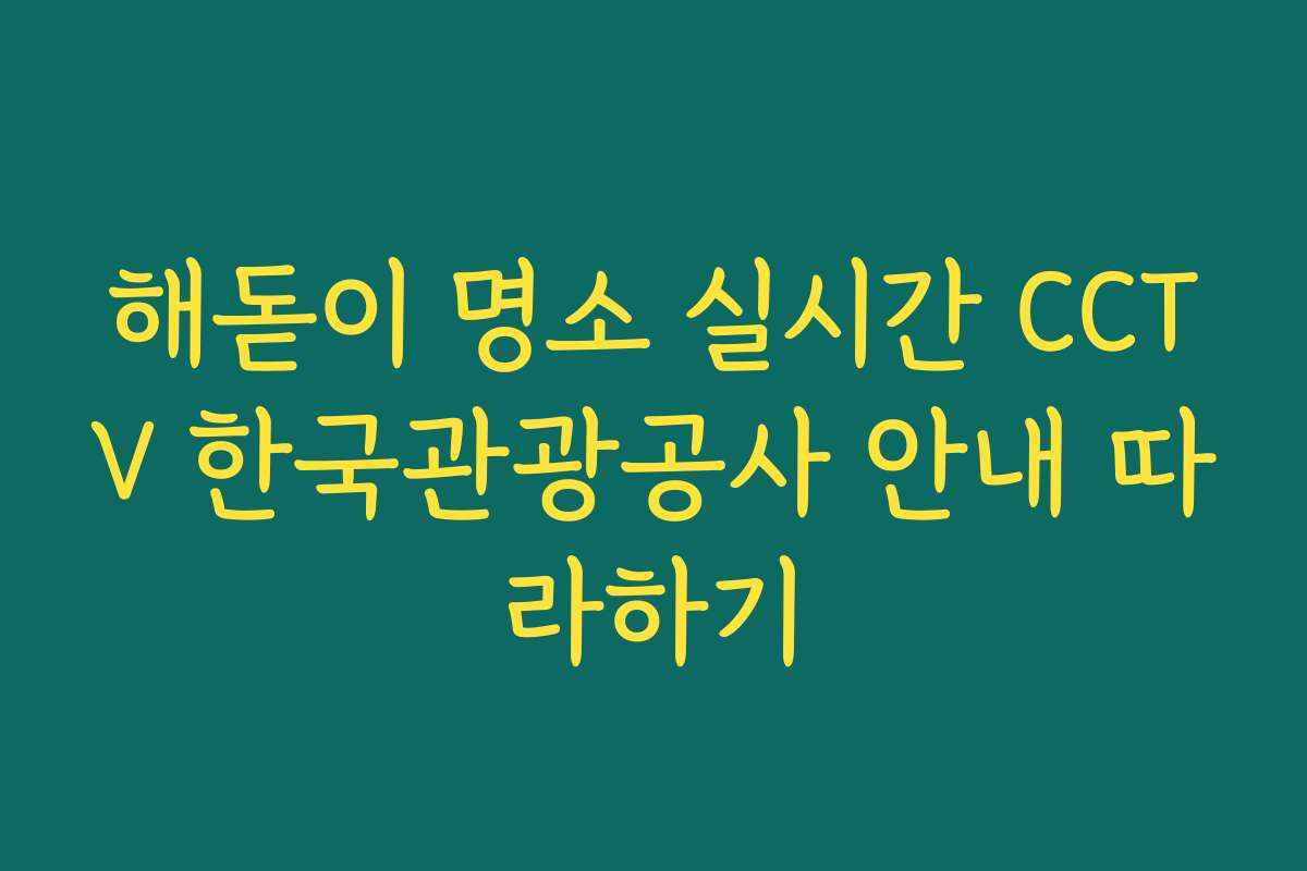 해돋이 명소 실시간 CCTV 한국관광공사 안내 따라하기