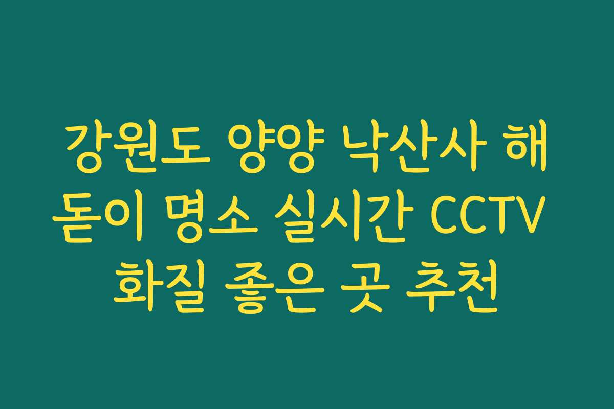 강원도 양양 낙산사 해돋이 명소 실시간 CCTV 화질 좋은 곳 추천