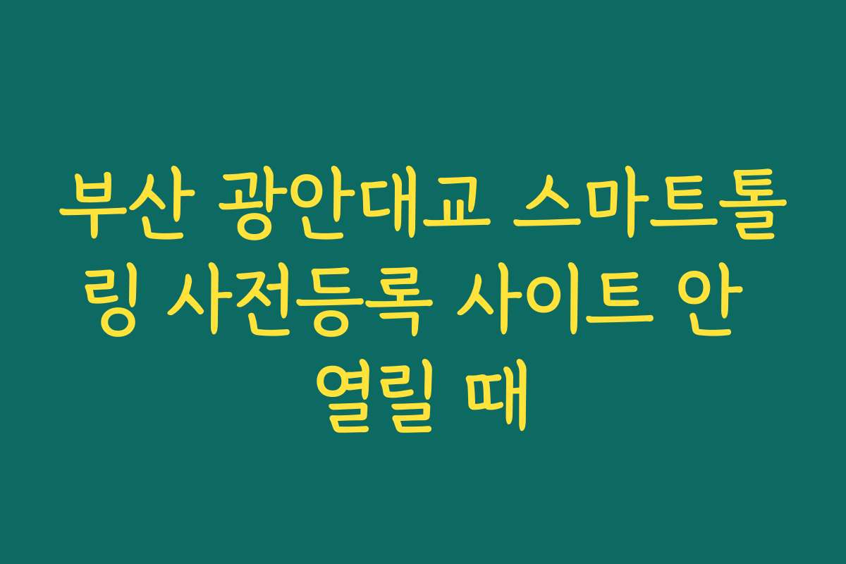 부산 광안대교 스마트톨링 사전등록 사이트 안 열릴 때