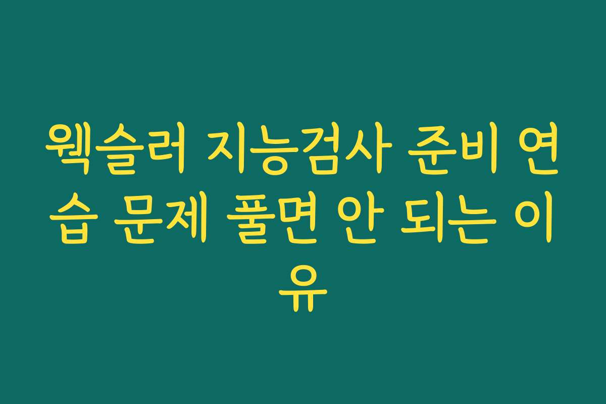 웩슬러 지능검사 준비 연습 문제 풀면 안 되는 이유