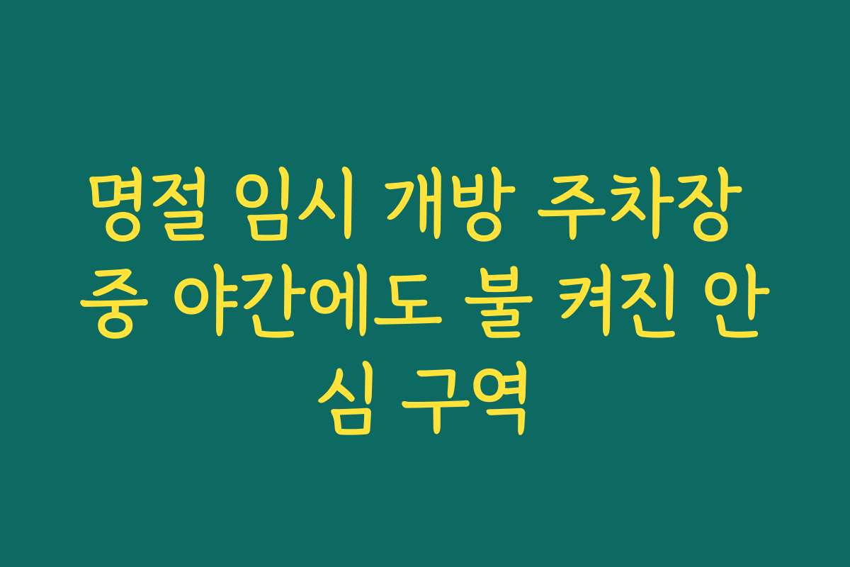 명절 임시 개방 주차장 중 야간에도 불 켜진 안심 구역