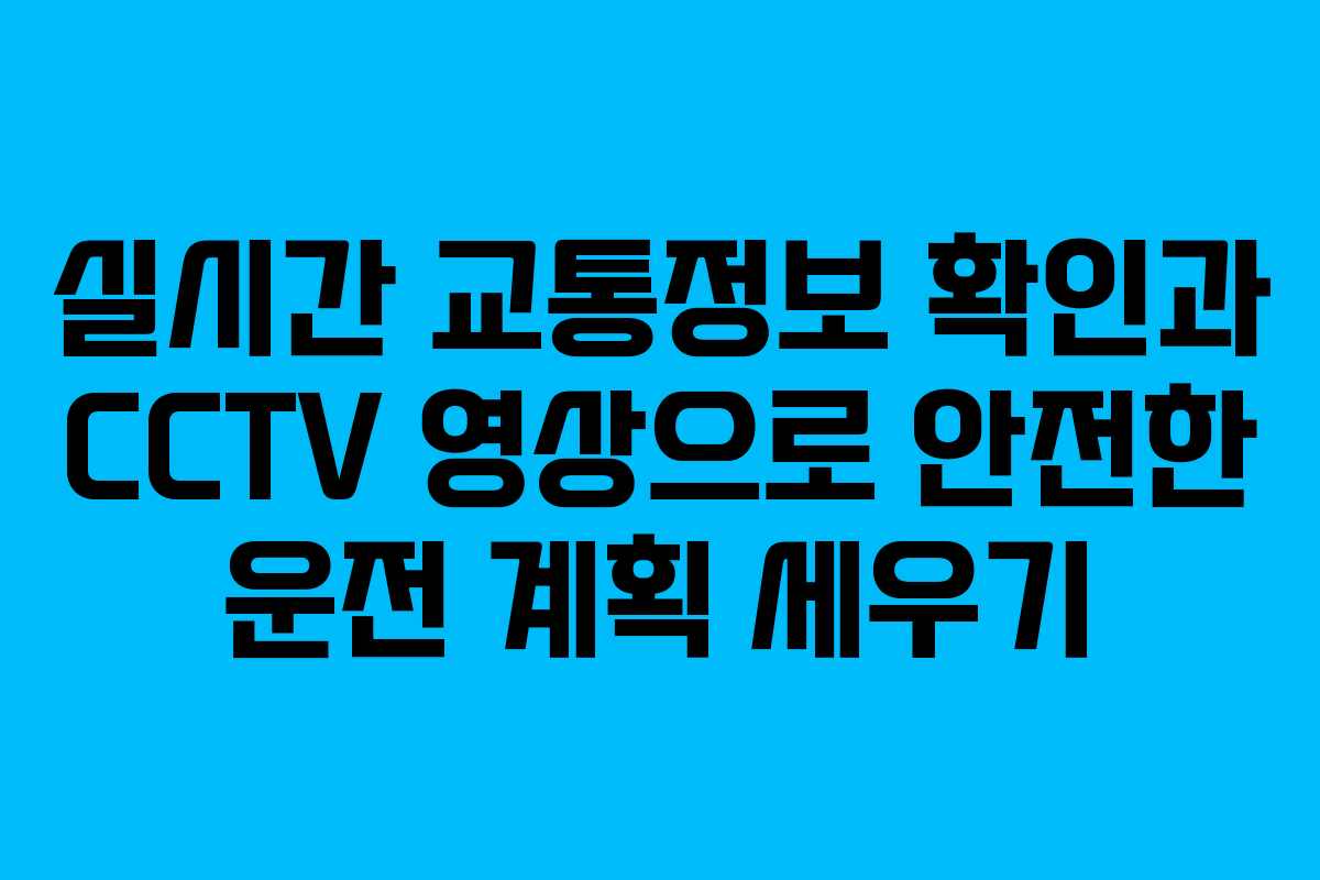 실시간 교통정보 확인과 CCTV 영상으로 안전한 운전 계획 세우기