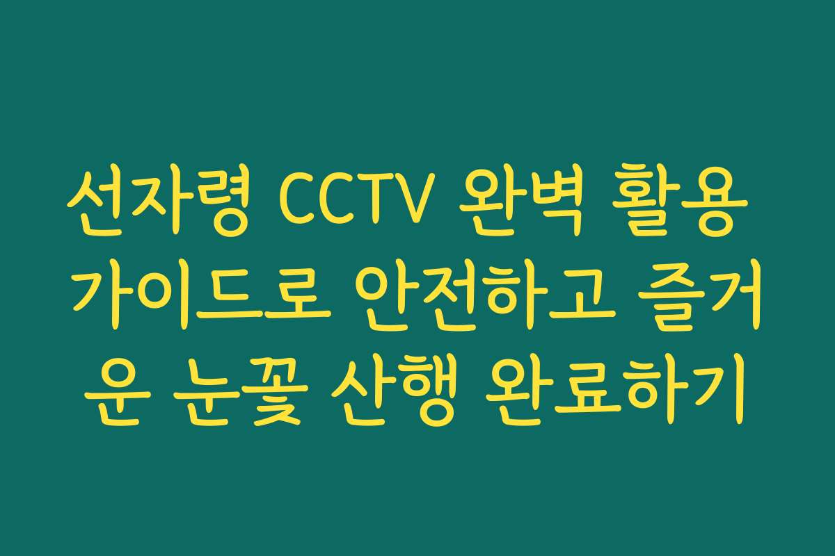 선자령 CCTV 완벽 활용 가이드로 안전하고 즐거운 눈꽃 산행 완료하기
