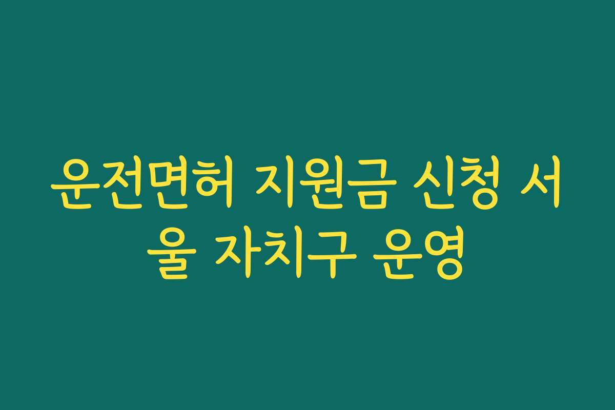 운전면허 지원금 신청 서울 자치구 운영