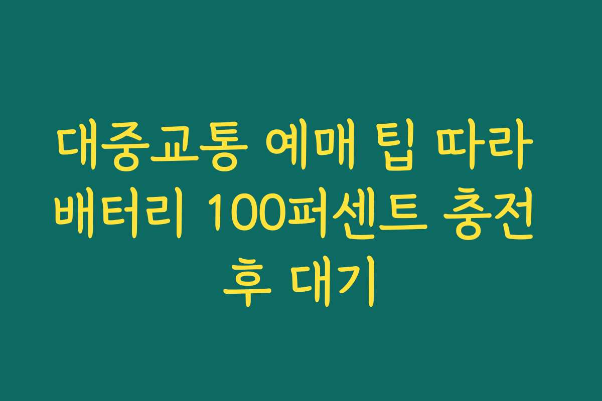 대중교통 예매 팁 따라 배터리 100퍼센트 충전 후 대기