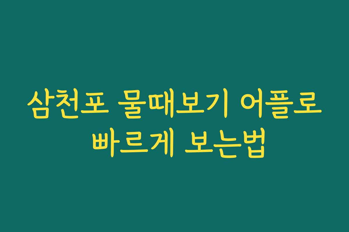 삼천포 물때보기 어플로 빠르게 보는법