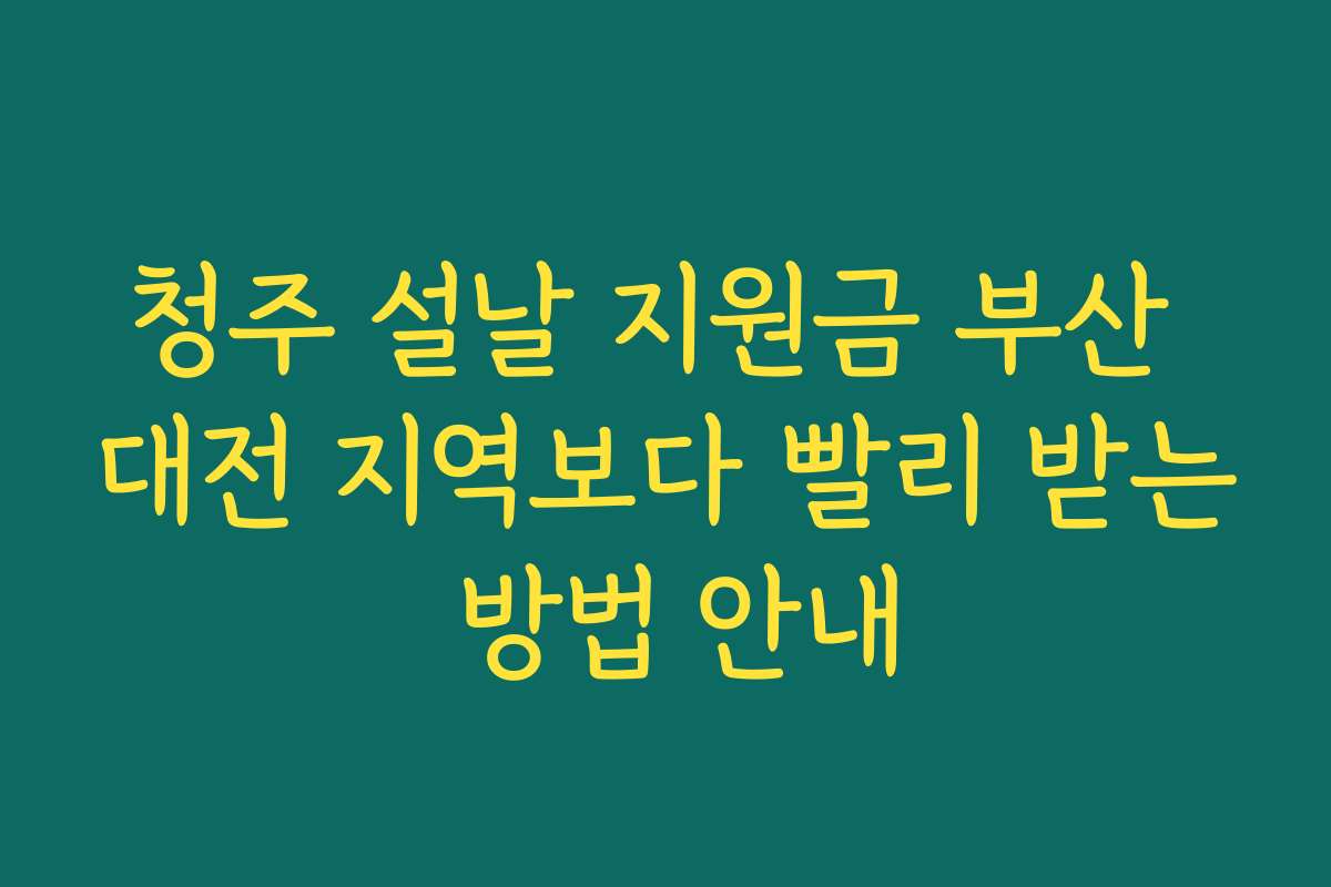 청주 설날 지원금 부산 대전 지역보다 빨리 받는 방법 안내