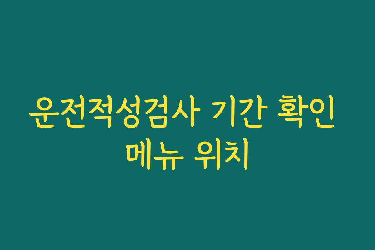 운전적성검사 기간 확인 메뉴 위치