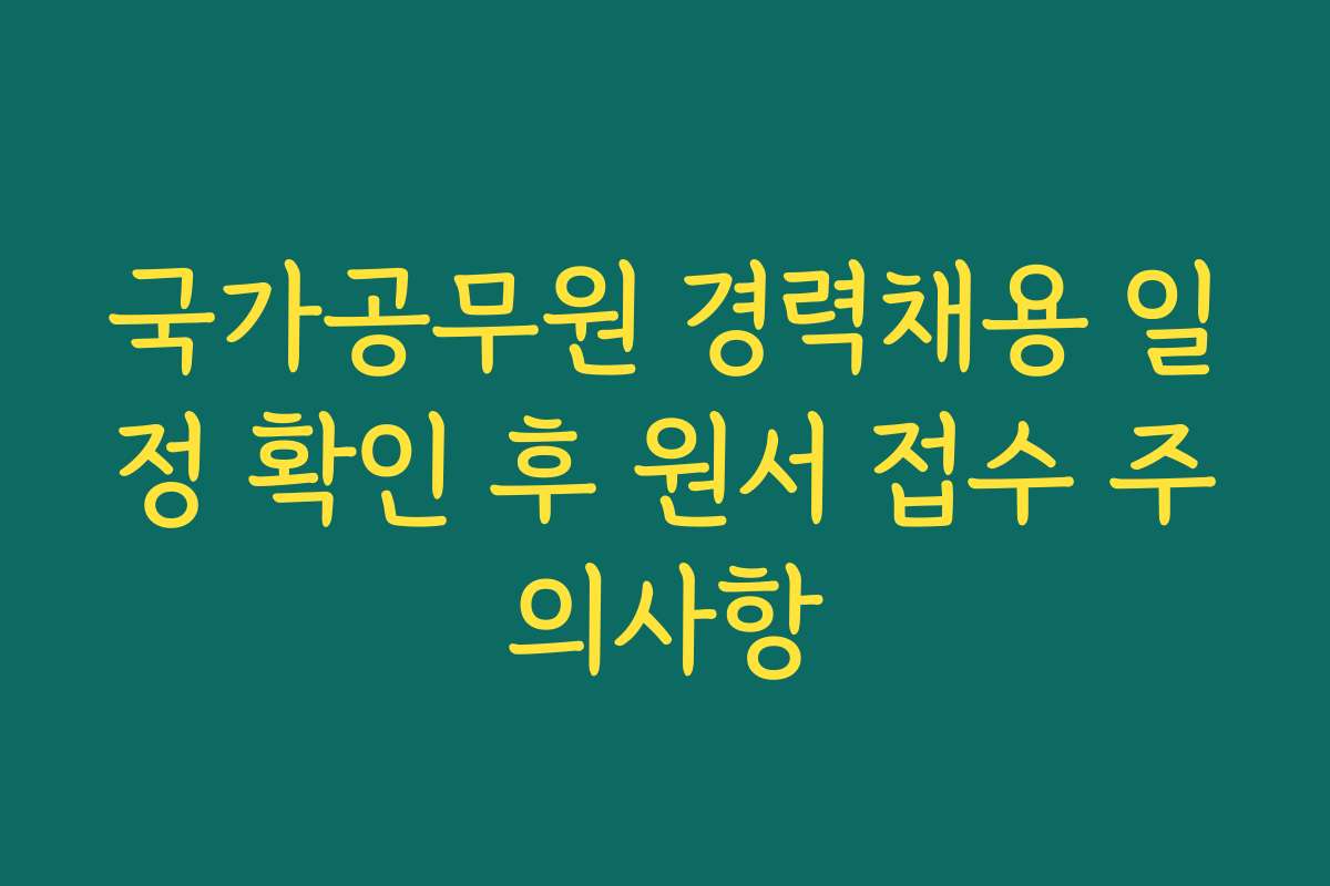 국가공무원 경력채용 일정 확인 후 원서 접수 주의사항