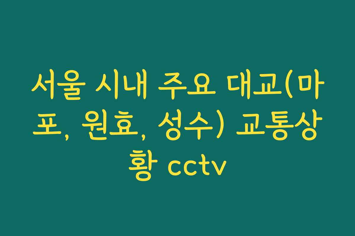 서울 시내 주요 대교(마포, 원효, 성수) 교통상황 cctv