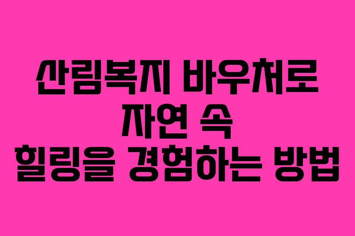 산림복지 바우처로 자연 속 힐링을 경험하는 방법