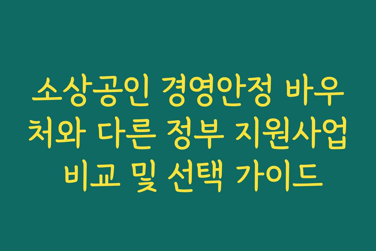 소상공인 경영안정 바우처와 다른 정부 지원사업 비교 및 선택 가이드
