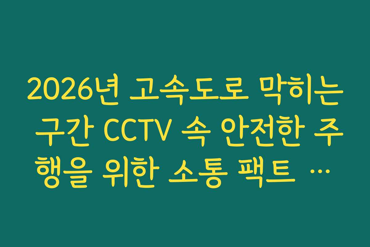 2026년 고속도로 막히는 구간 CCTV 속 안전한 주행을 위한 소통 팩트 확인