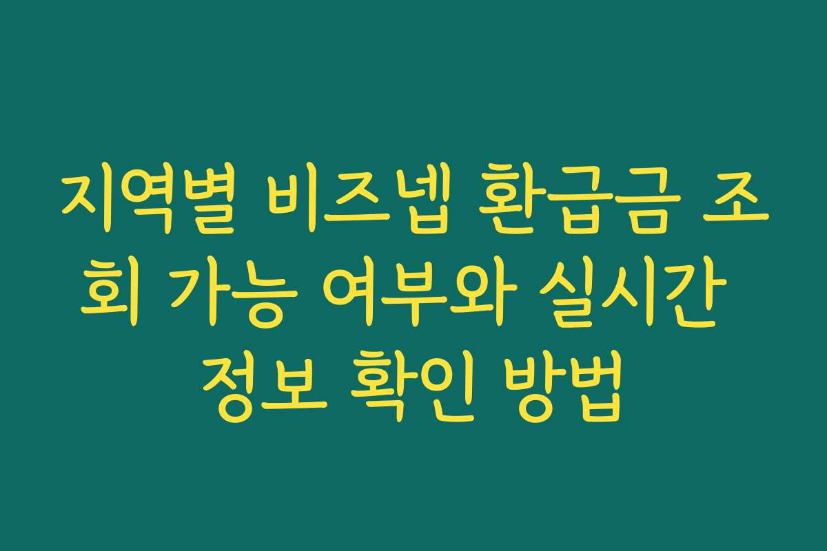 지역별 비즈넵 환급금 조회 가능 여부와 실시간 정보 확인 방법