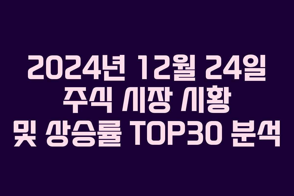 2024년 12월 24일 주식 시장 시황 및 상승률 TOP30 분석