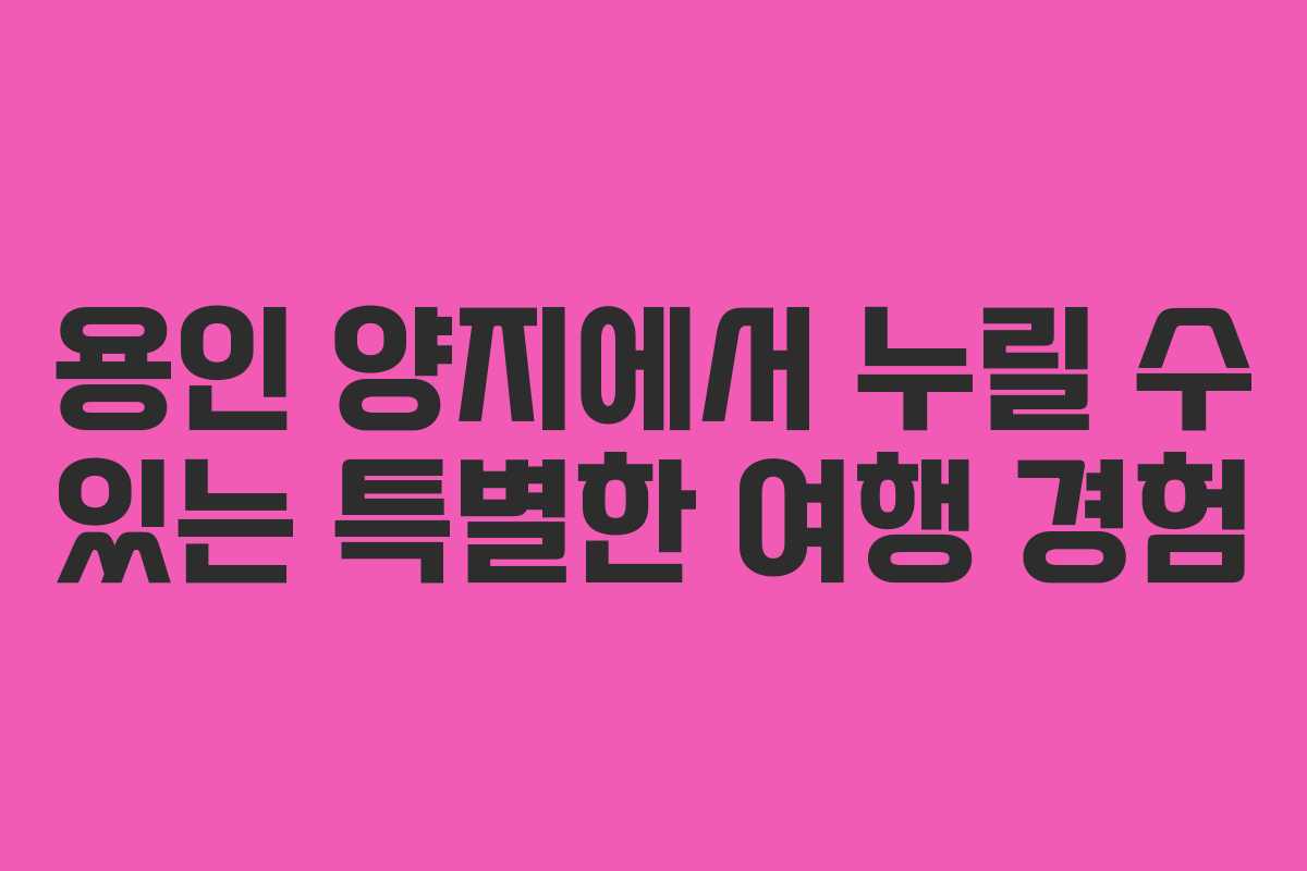 용인 양지에서 누릴 수 있는 특별한 여행 경험