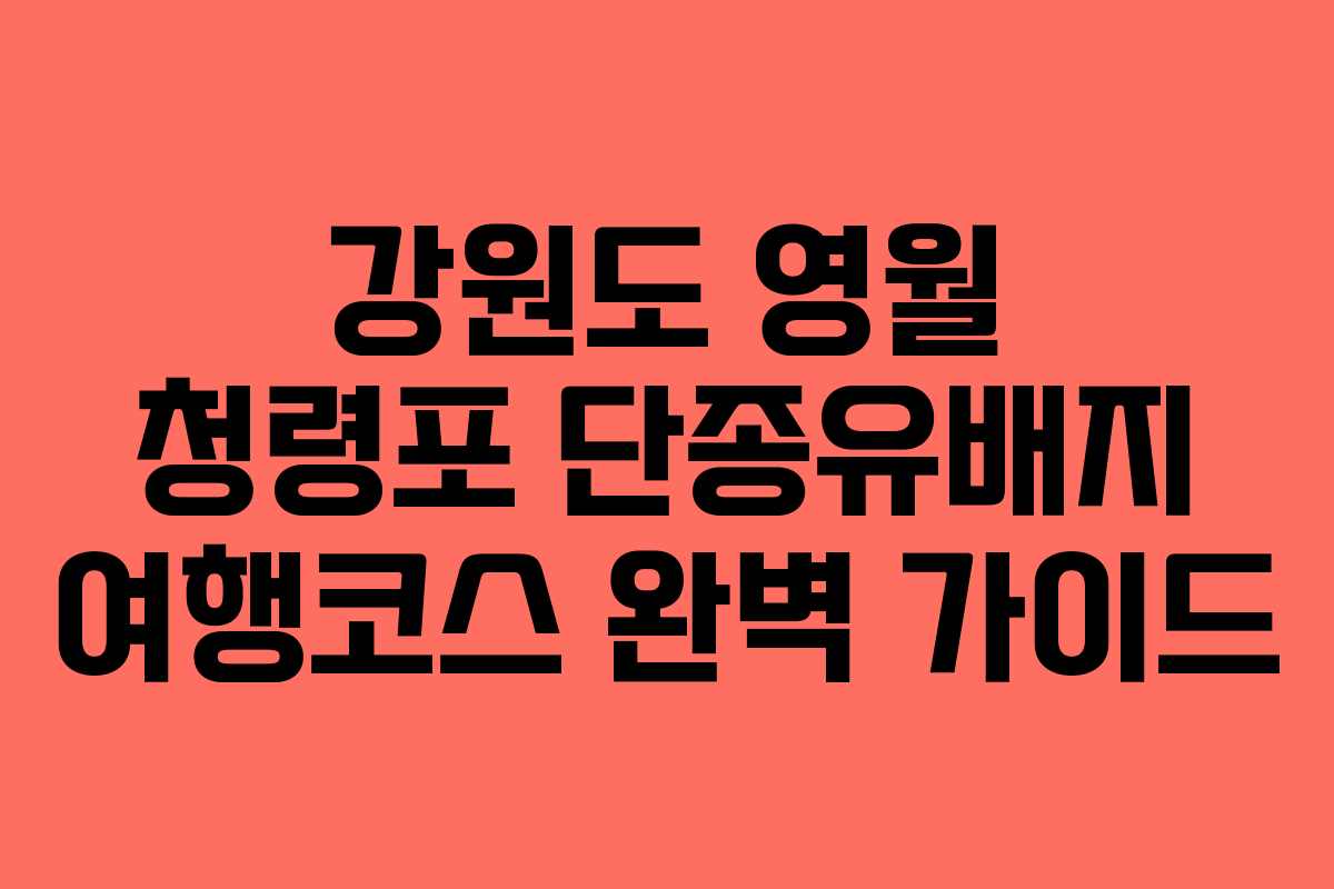 강원도 영월 청령포 단종유배지 여행코스 완벽 가이드