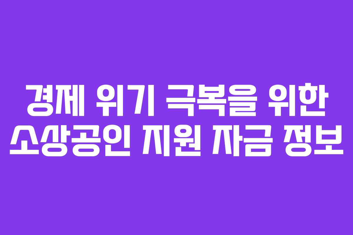경제 위기 극복을 위한 소상공인 지원 자금 정보