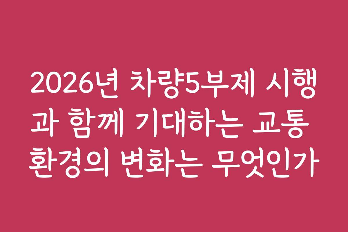 2026년 차량5부제 시행과 함께 기대하는 교통 환경의 변화는 무엇인가