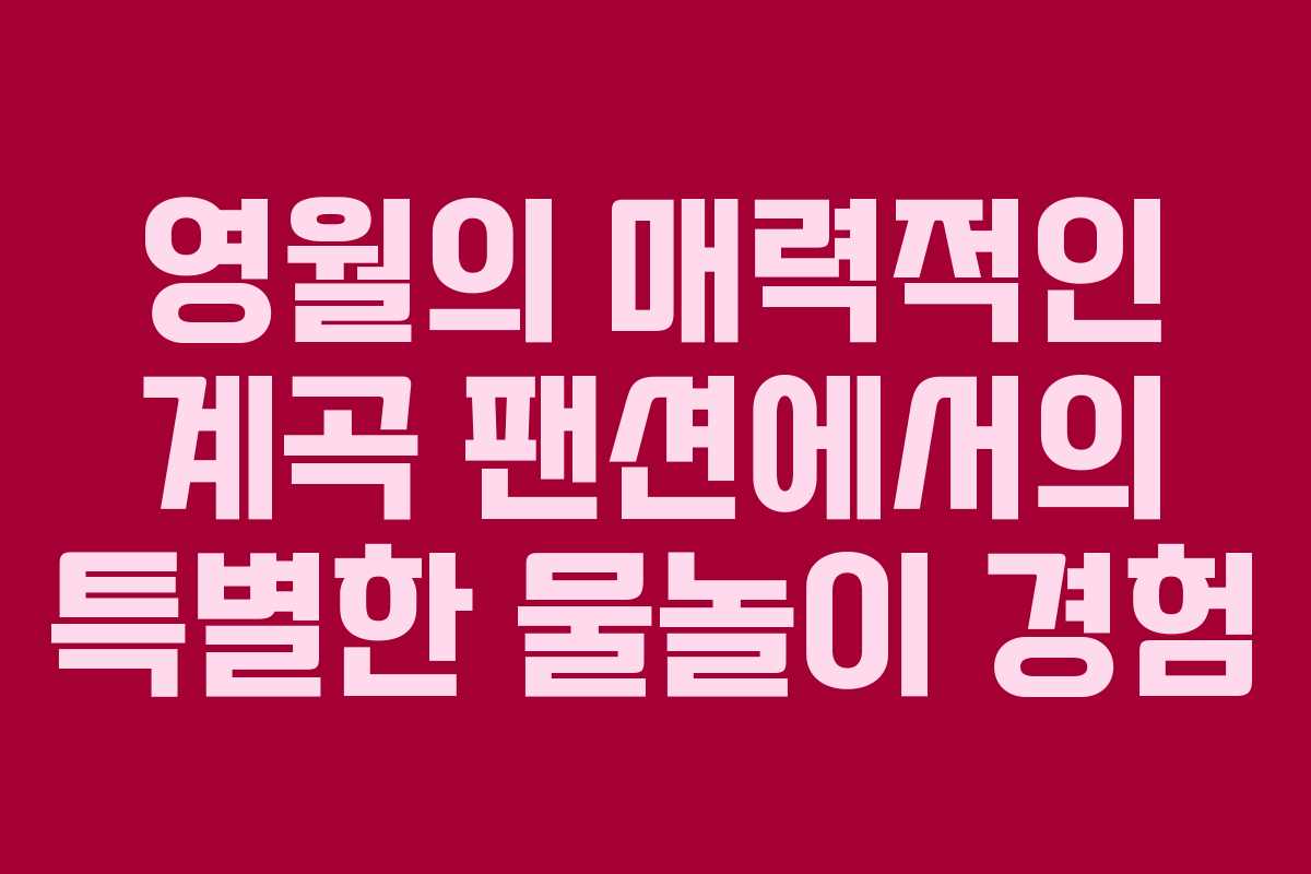 영월의 매력적인 계곡 팬션에서의 특별한 물놀이 경험