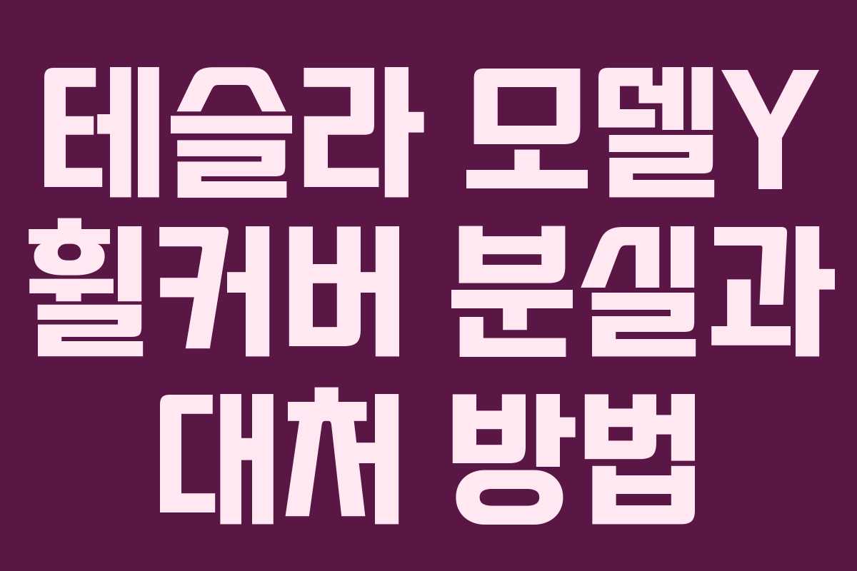 테슬라 모델Y 휠커버 분실과 대처 방법