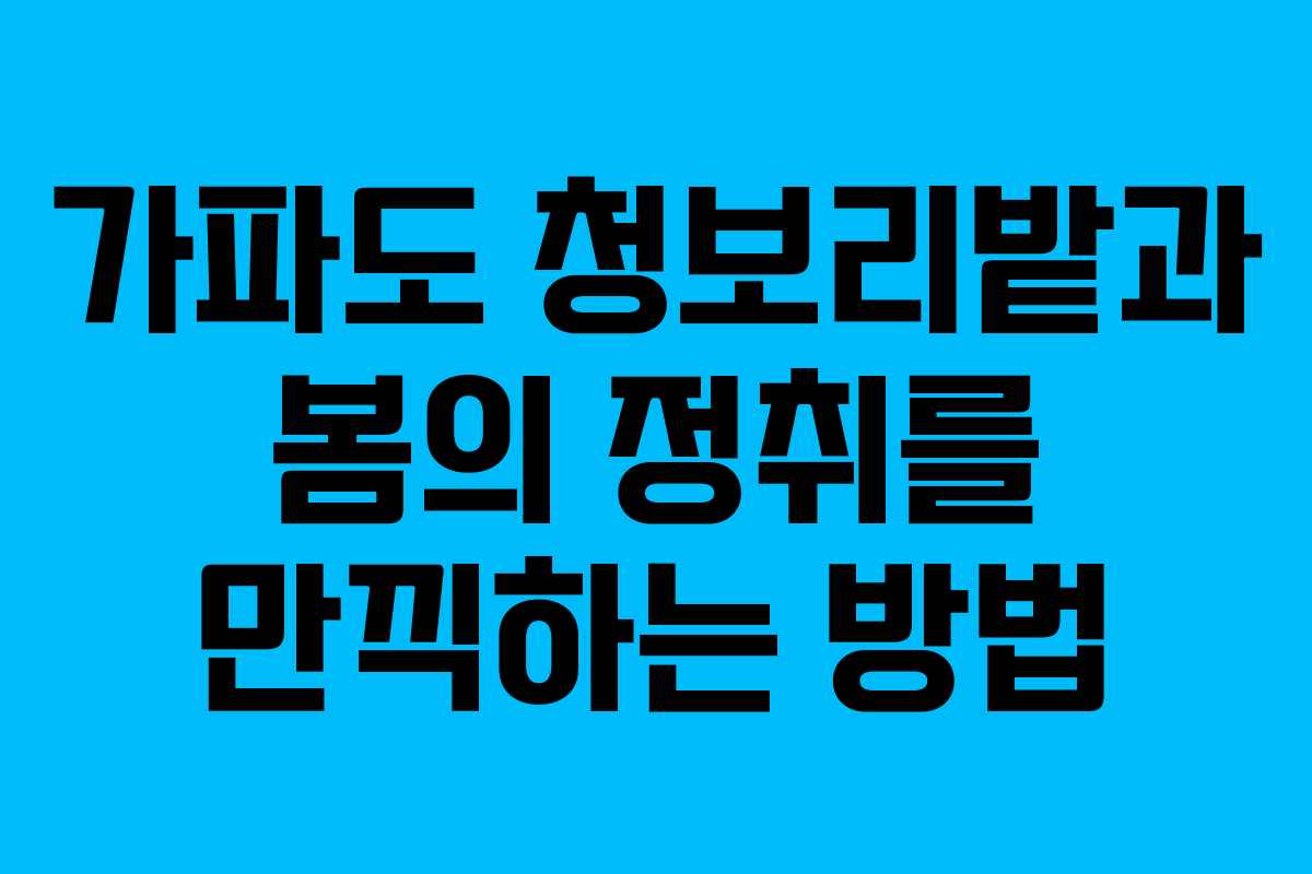 가파도 청보리밭과 봄의 정취를 만끽하는 방법