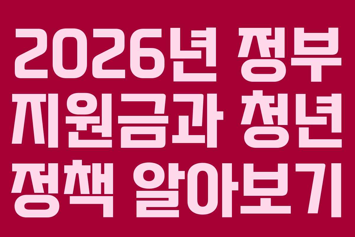 2026년 정부 지원금과 청년 정책 알아보기