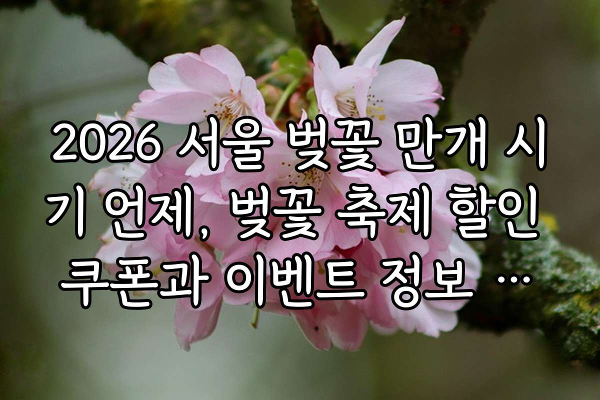 2026 서울 벚꽃 만개 시기 언제, 벚꽃 축제 할인 쿠폰과 이벤트 정보 모음