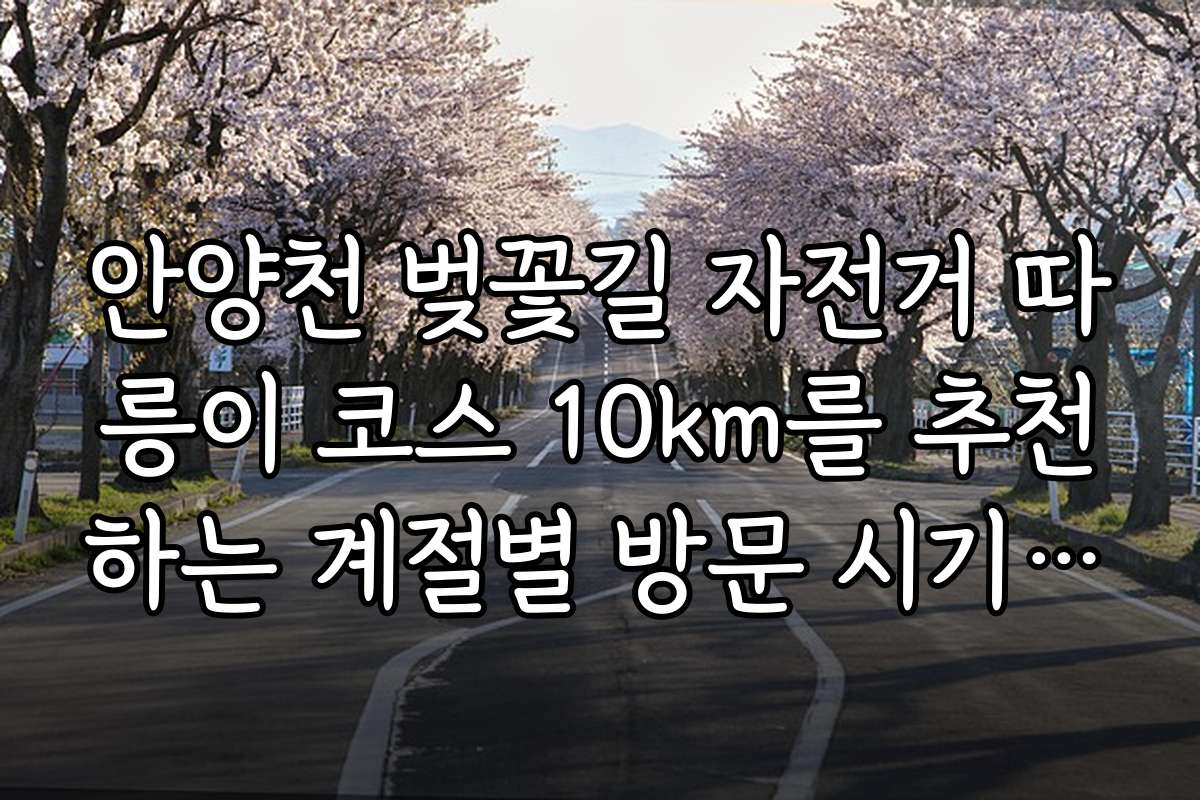 안양천 벚꽃길 자전거 따릉이 코스 10km를 추천하는 계절별 방문 시기와 특징