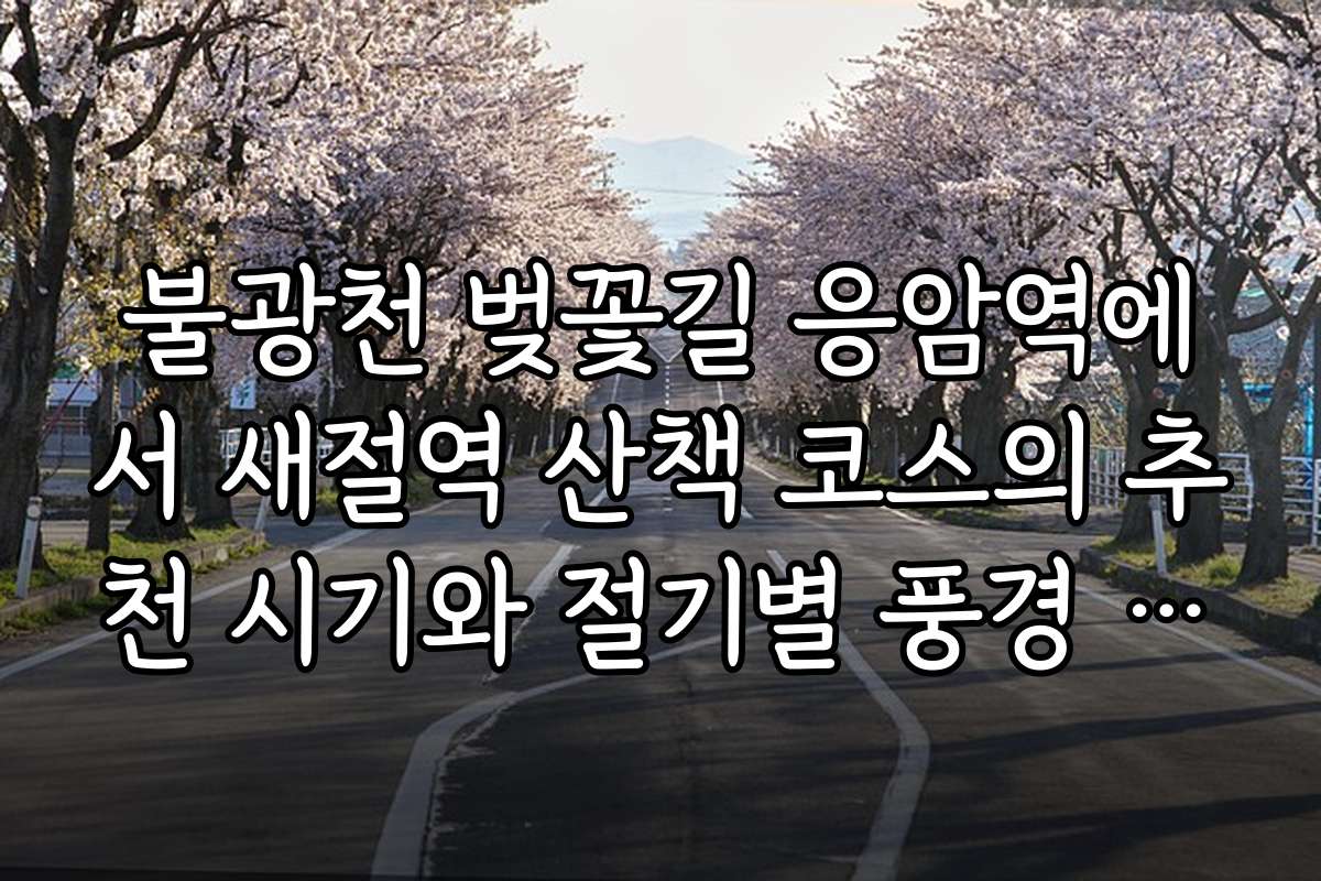 불광천 벚꽃길 응암역에서 새절역 산책 코스의 추천 시기와 절기별 풍경 사진