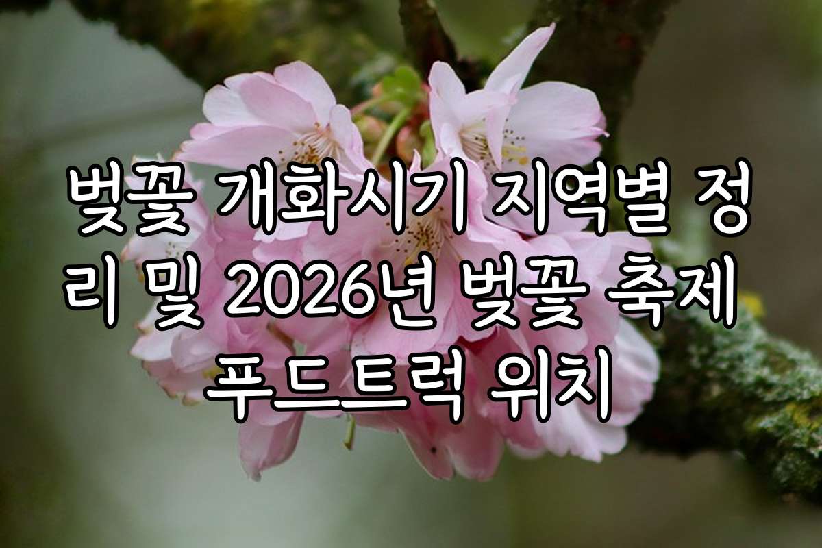 벚꽃 개화시기 지역별 정리 및 2026년 벚꽃 축제 푸드트럭 위치