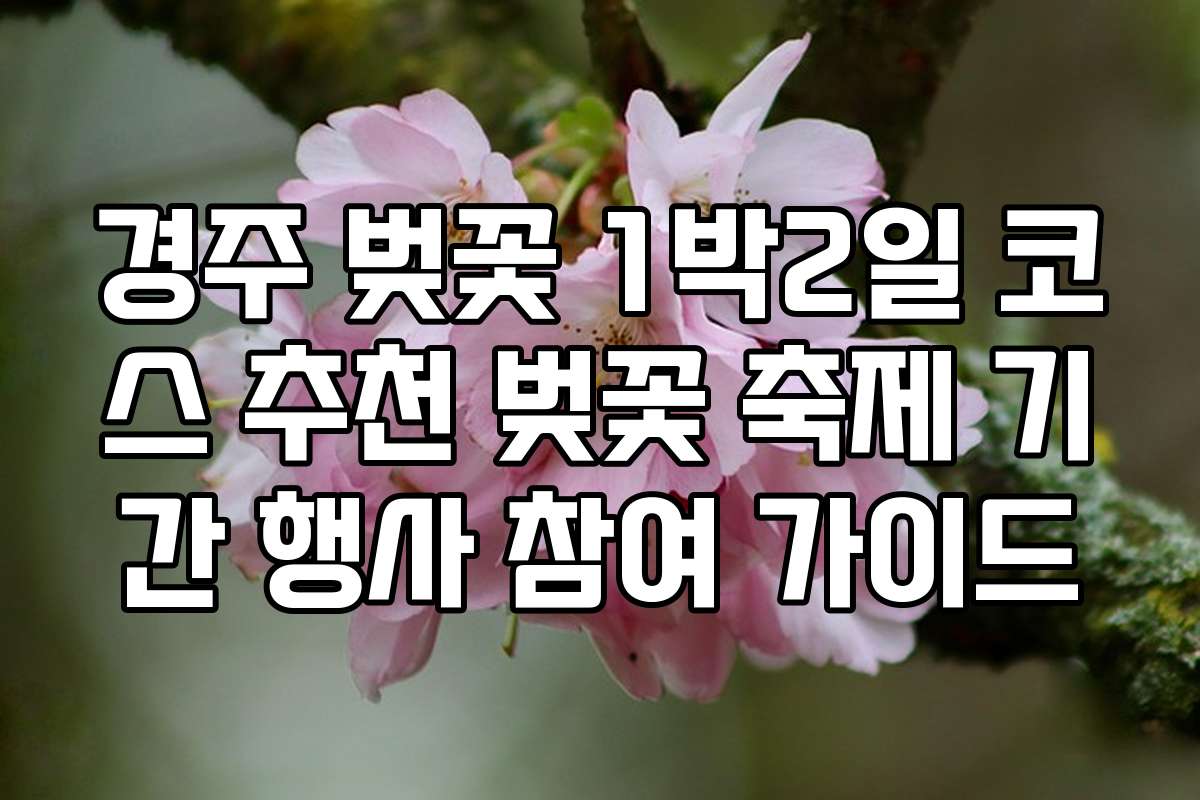 경주 벚꽃 1박2일 코스 추천 벚꽃 축제 기간 행사 참여 가이드