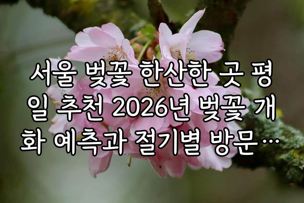 서울 벚꽃 한산한 곳 평일 추천 2026년 벚꽃 개화 예측과 절기별 방문 시기