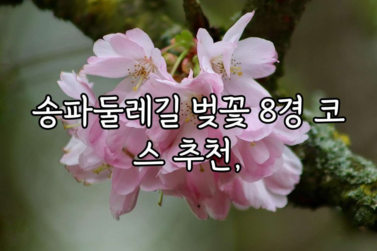 송파둘레길 벚꽃 8경 코스 추천,