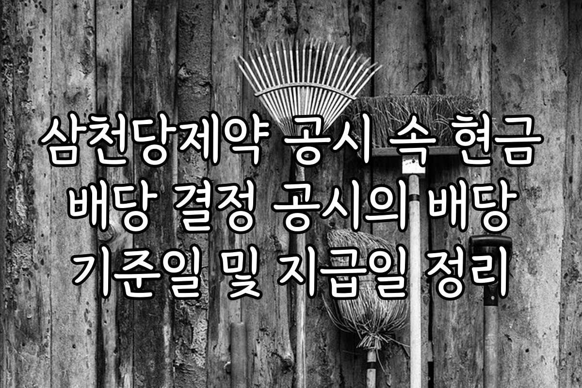 삼천당제약 공시 속 현금 배당 결정 공시의 배당 기준일 및 지급일 정리