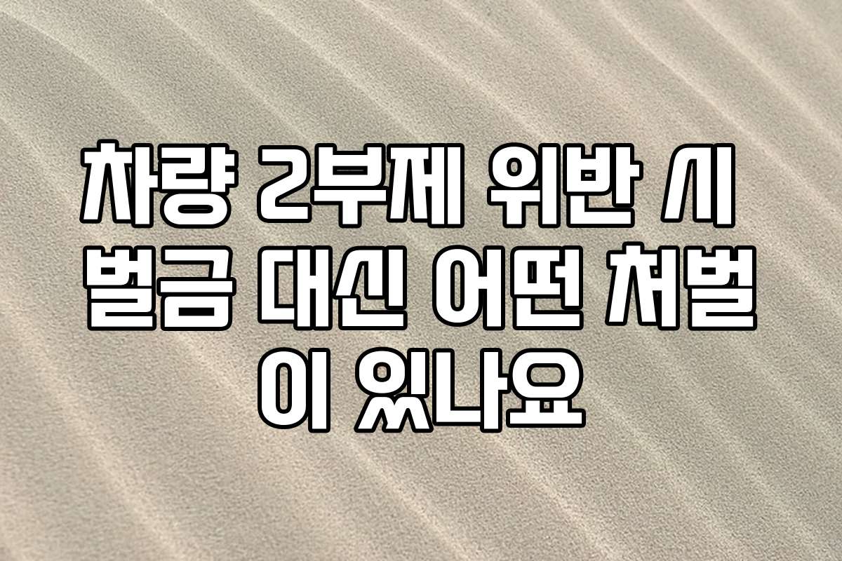 차량 2부제 위반 시 벌금 대신 어떤 처벌이 있나요