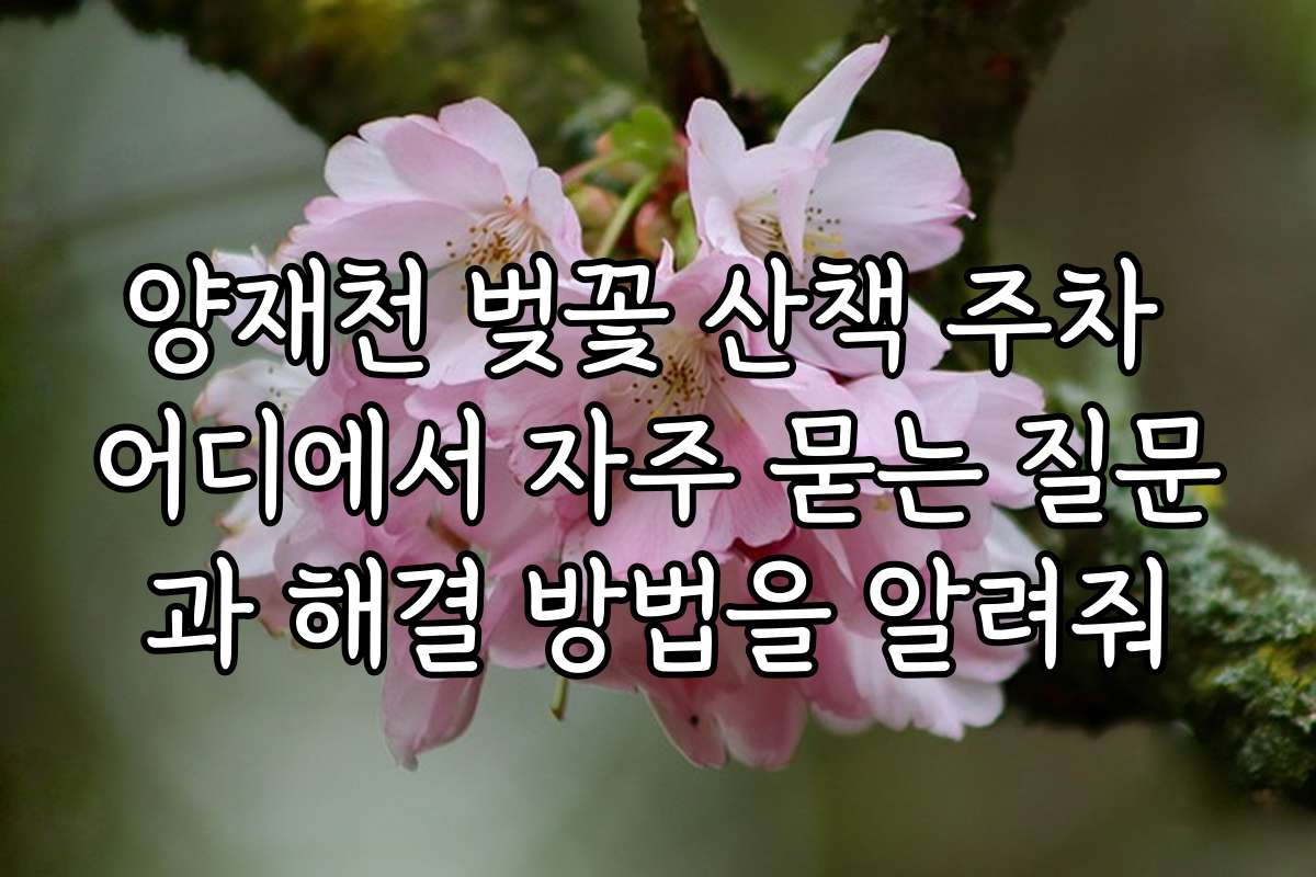 양재천 벚꽃 산책 주차 어디에서 자주 묻는 질문과 해결 방법을 알려줘